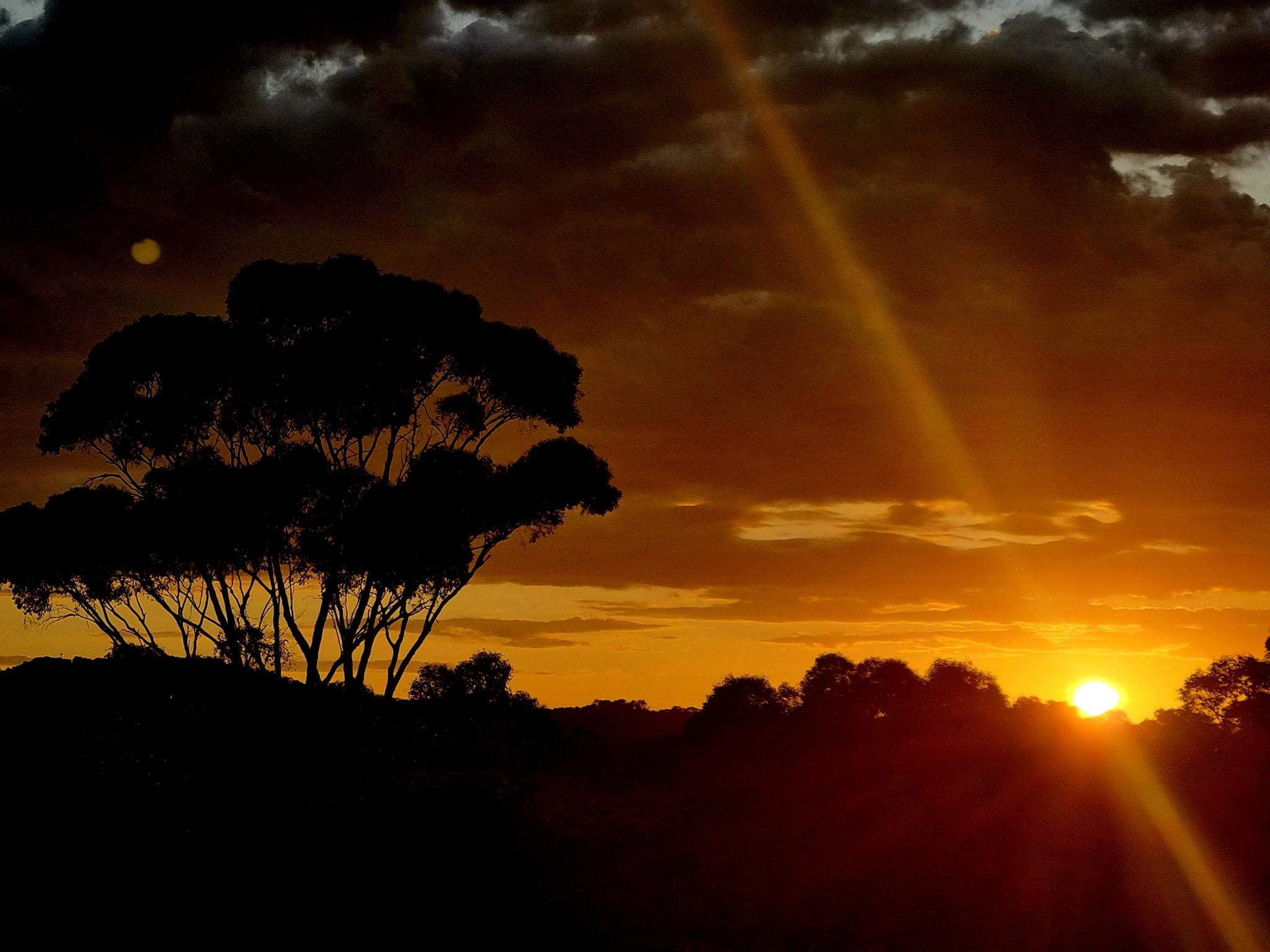 Sunset over central Victoria